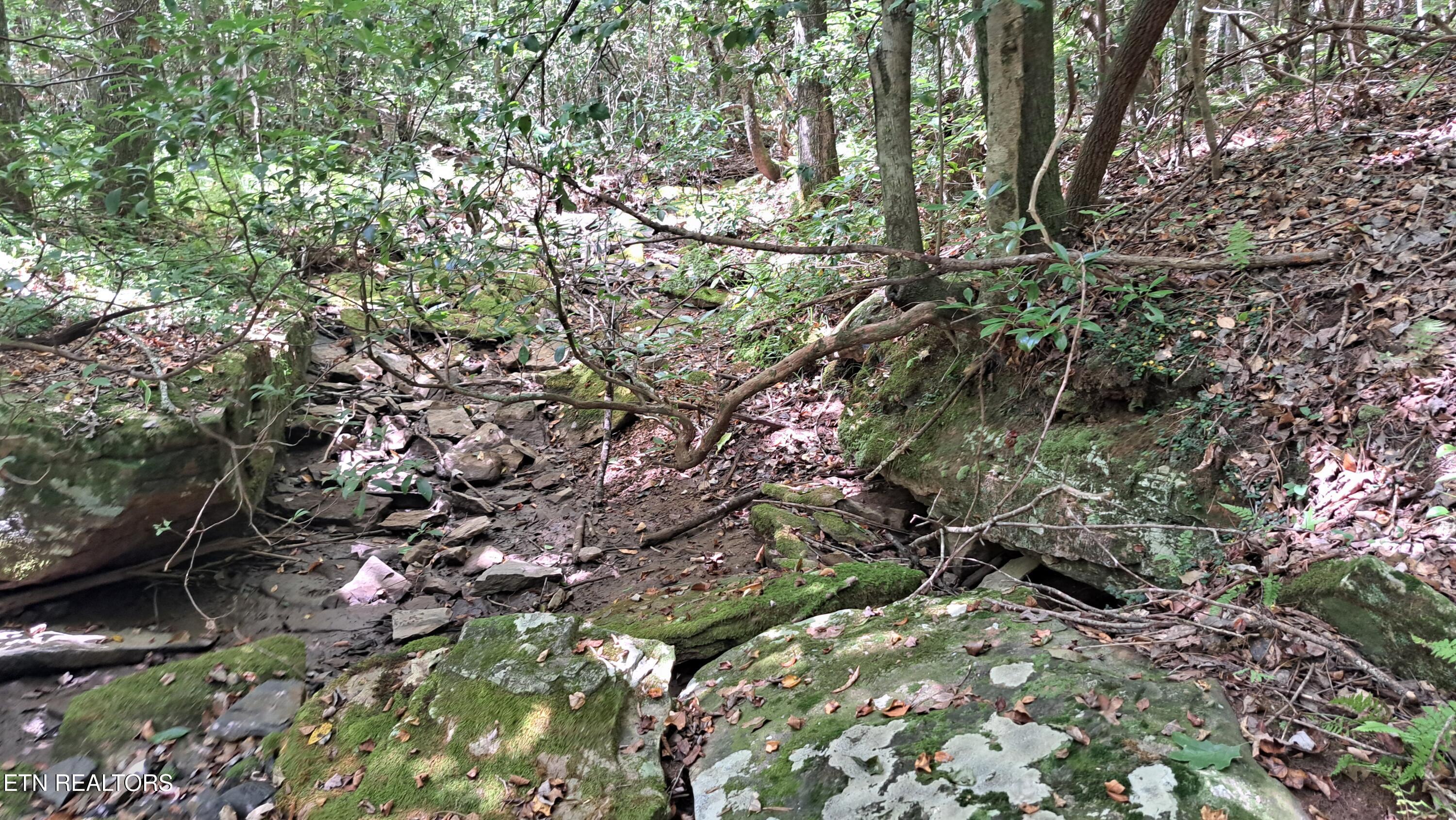 Airport Road Rockwood, TN 37854 - Photo 5 of 10 20240814_123256