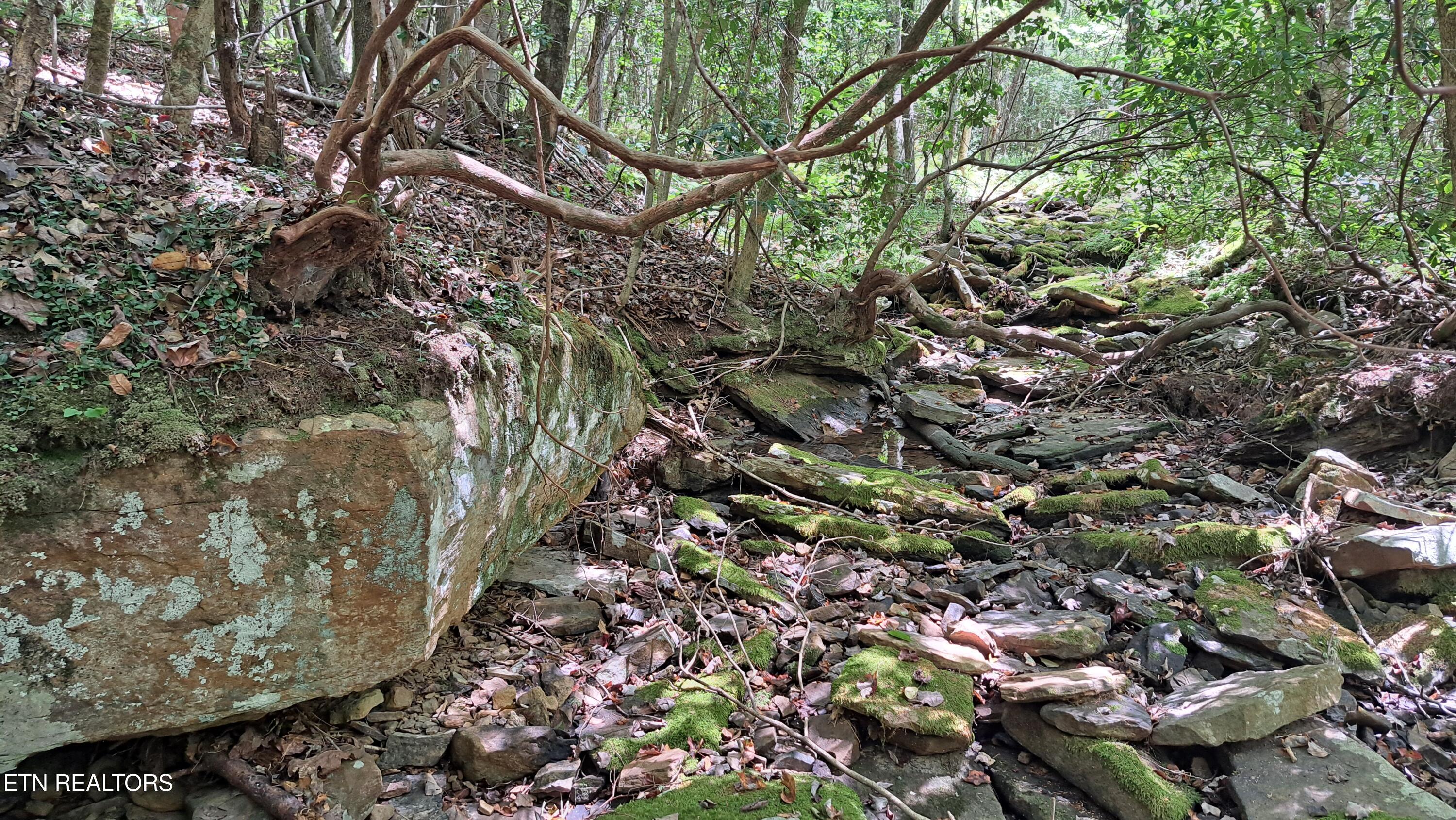 Airport Road Rockwood, TN 37854 - Photo 8 of 10 20240814_123323