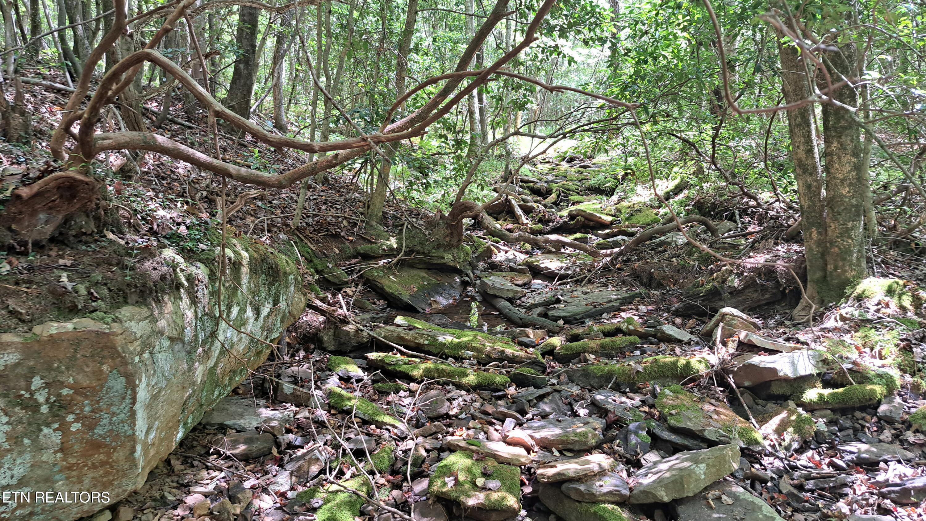 Airport Road Rockwood, TN 37854 - Photo 9 of 10 20240814_123329