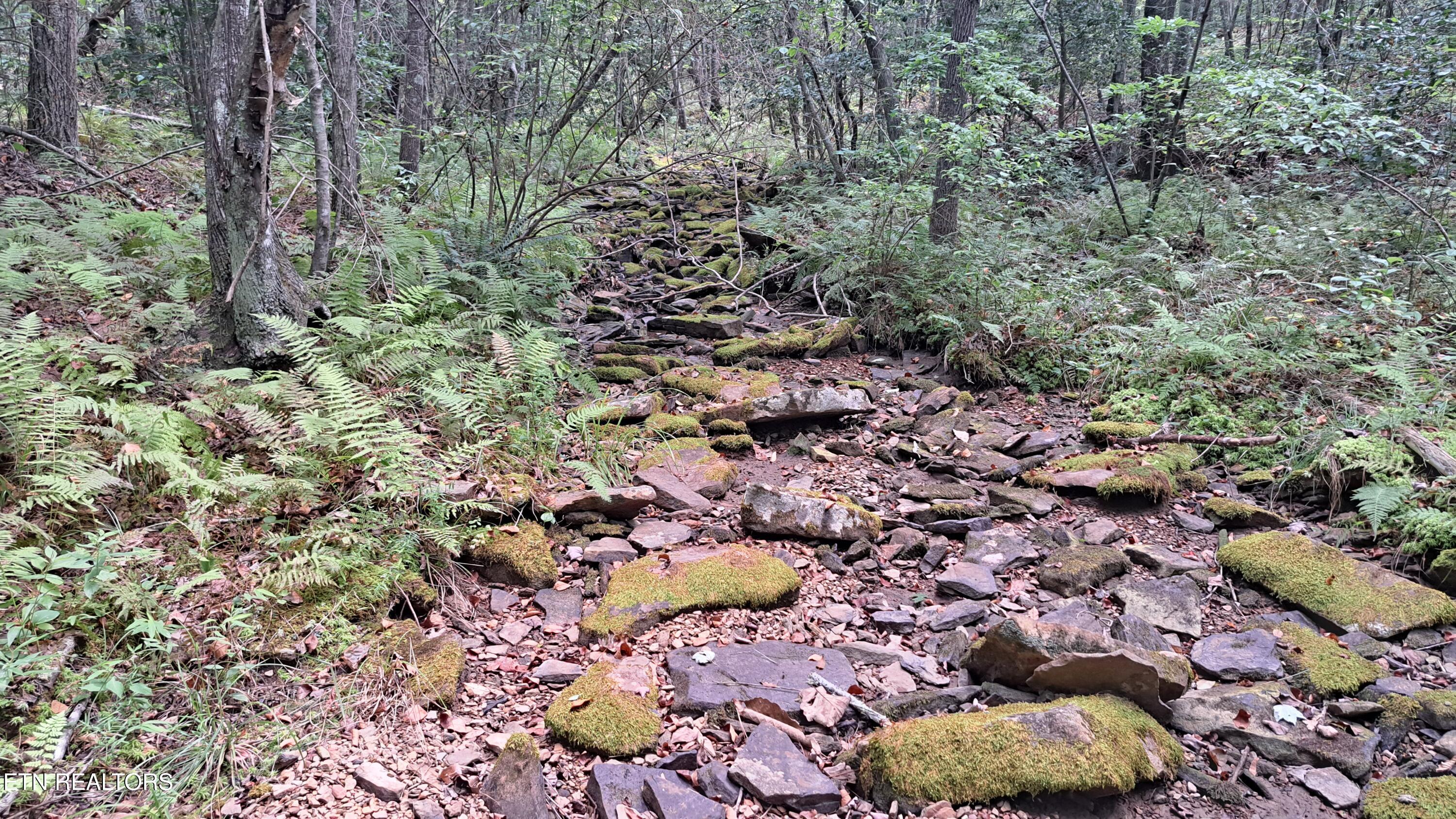 Airport Road Rockwood, TN 37854 - Photo 10 of 10 20240814_123435