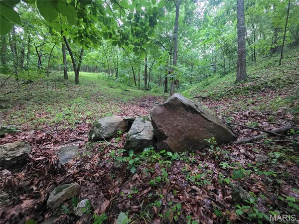 $300,000 | 0 County Road 8500, Newburg, MO 65550