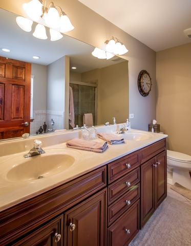 293 Ridge Road North Aurora, IL 60542 - Photo 12 of 21 a bathroom with a sink and a mirror