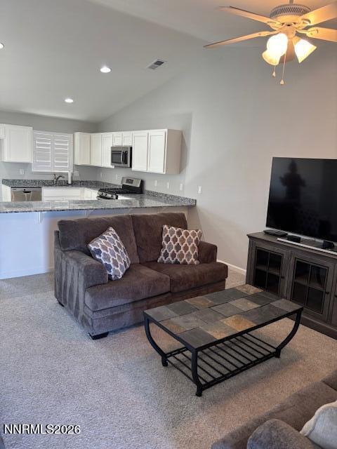 1380 Tommy Trail Fallon, NV 89406 - Photo 8 of 17 IMG_5998