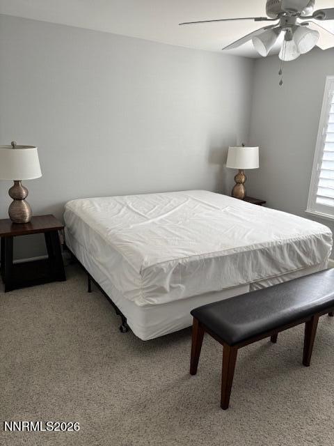 1380 Tommy Trail Fallon, NV 89406 - Photo 9 of 17 IMG_6036