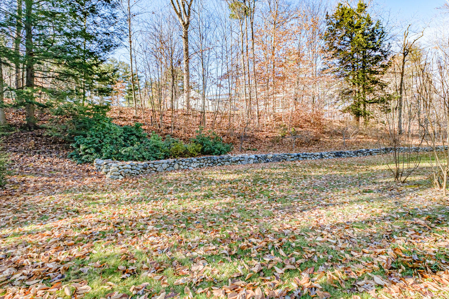 11 Marginal Way Springvale, ME 04083 - Photo 36 of 40 Backyard