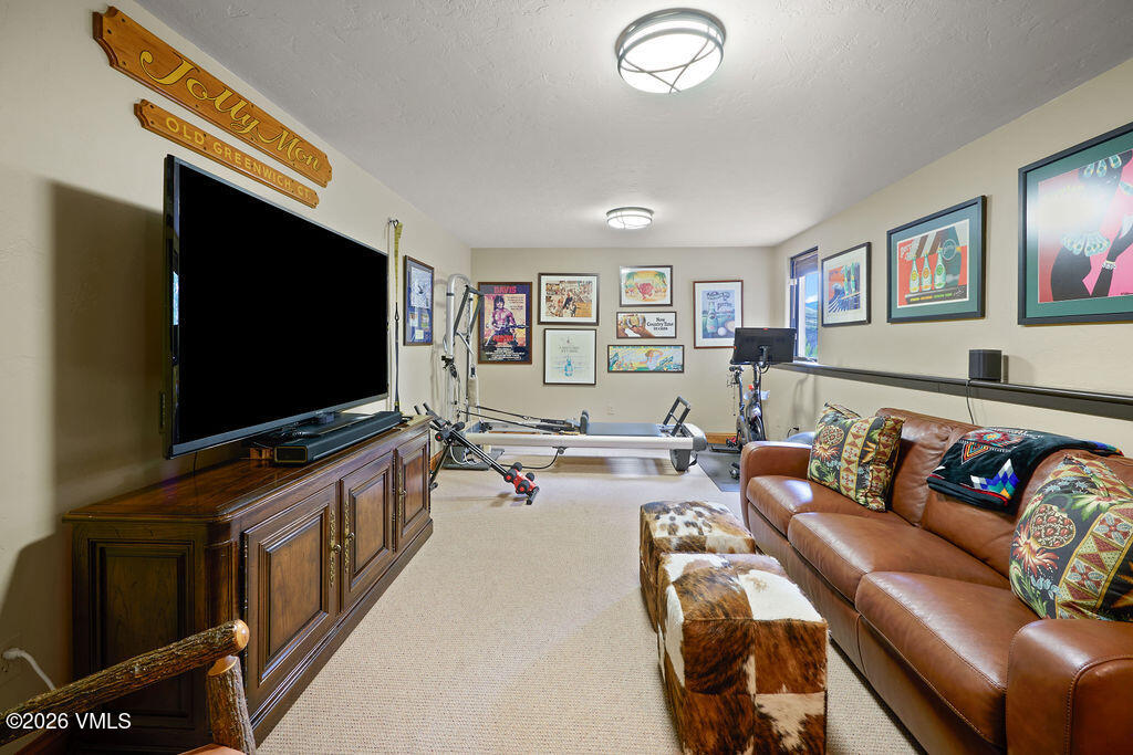 461 Winslow Road Edwards, CO 81632 - Photo 56 of 58 Family Room