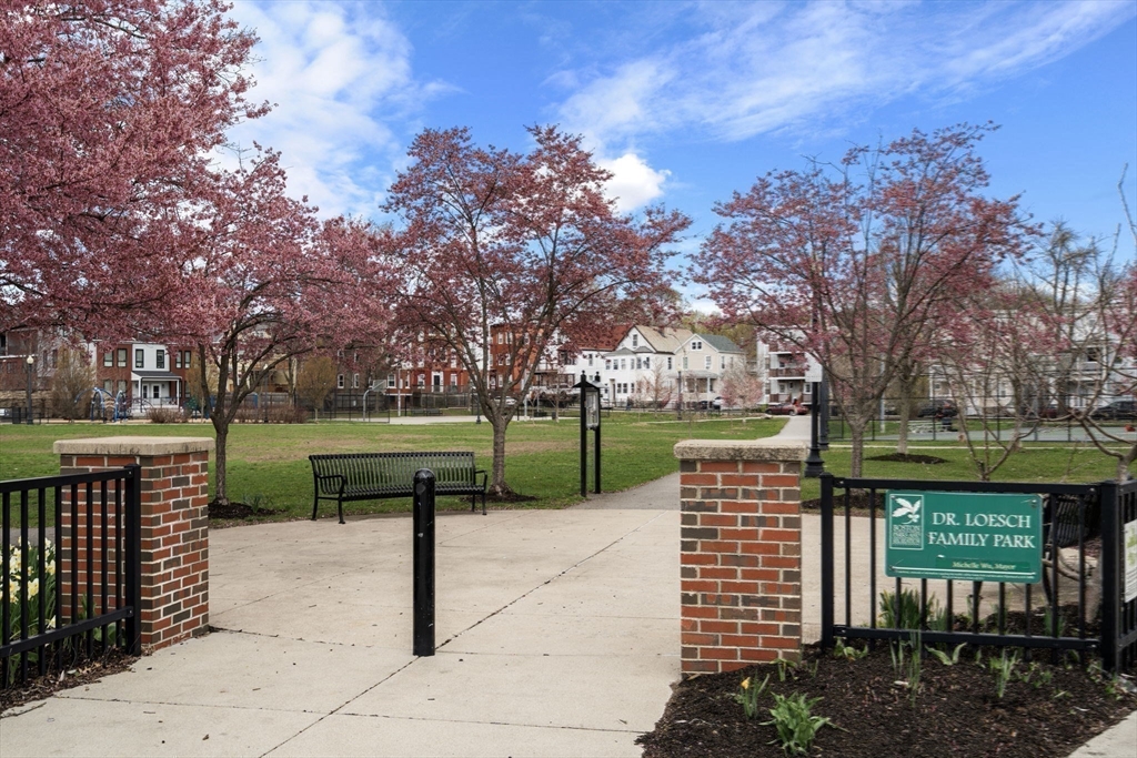 123-125 Centre Street, Unit TH7 Boston, MA 02124 - Photo 30 of 37 a view of a park with large trees