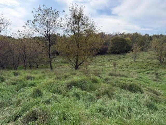 $189,000 | Lot 6 220th Avenue, New Richmond, WI 54017