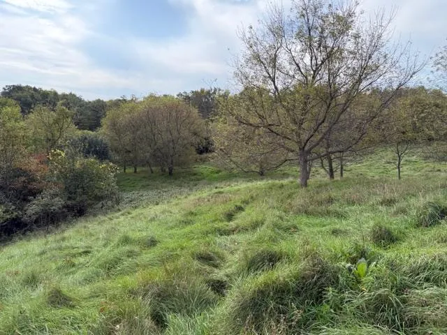 $189,000 | Lot 6 220th Avenue, New Richmond, WI 54017