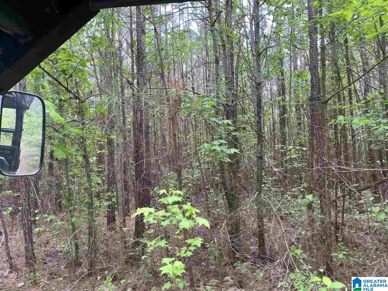 513 County Road, Unit 212 Woodland, AL 36280 - Photo 3 of 6