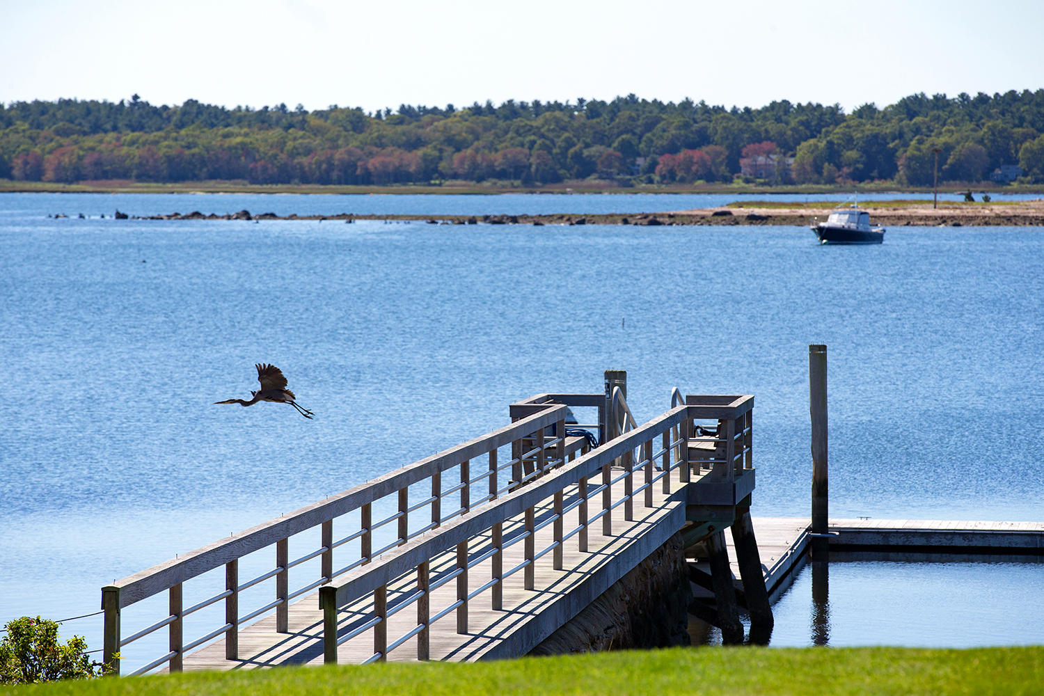 538 Point Road Marion, MA 02738 - Photo 5 of 23 5. Dock With Bird