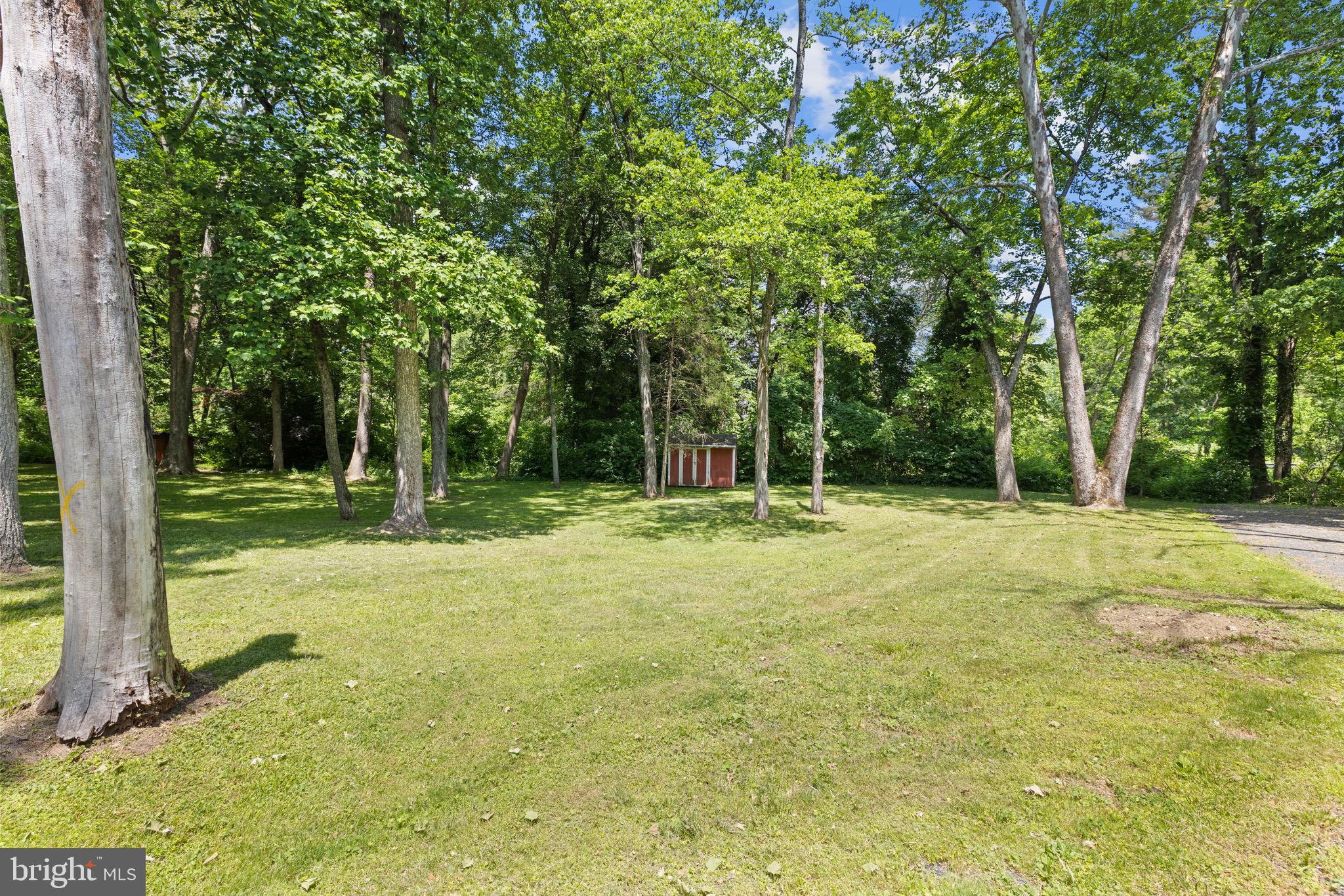 11708 Chapman Road Kingsville, MD 21087 - Photo 47 of 68 Clearing