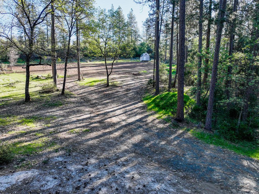 13279 Thoroughbred Loop Grass Valley, CA 95949 - Photo 28 of 33 a view of a park with large trees