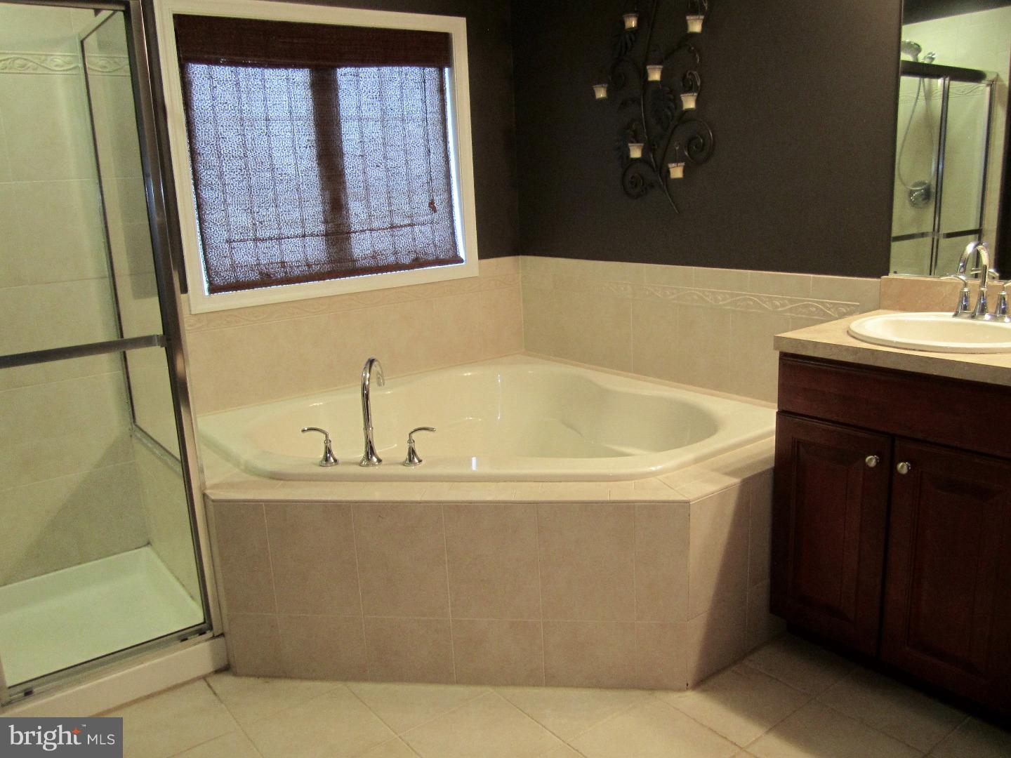 38 Saddle Way Chesterfield, NJ 08515 - Photo 15 of 18 Master Bathroom