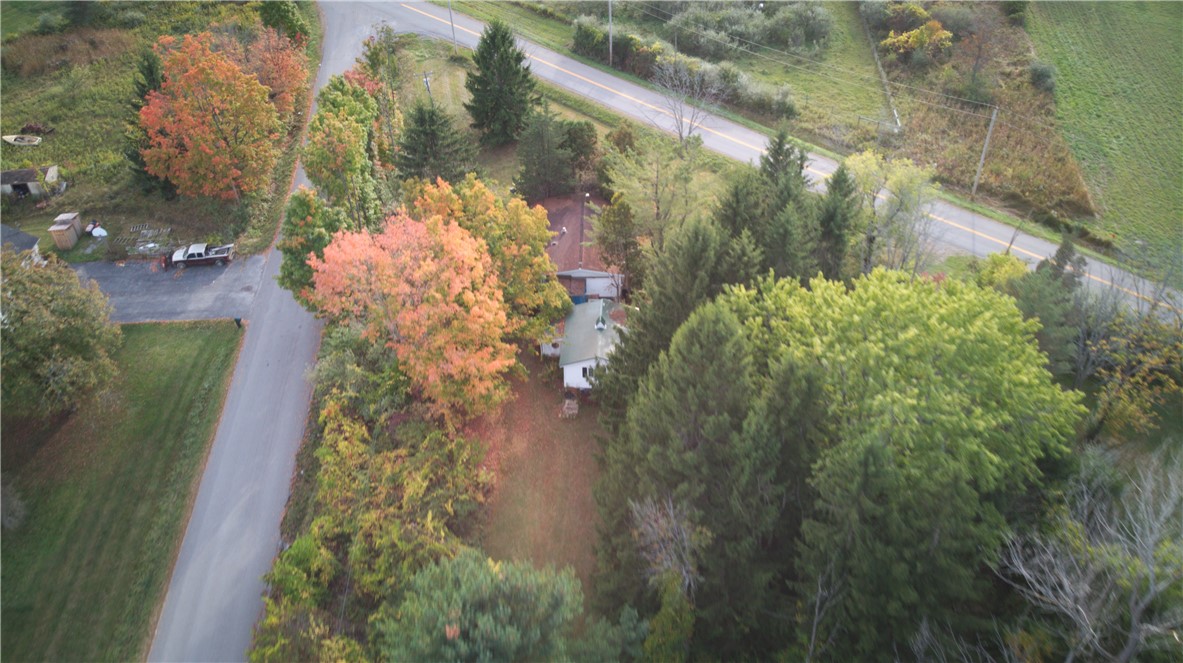 5045 Blank Road Livonia, NY 14466 - Photo 49 of 50