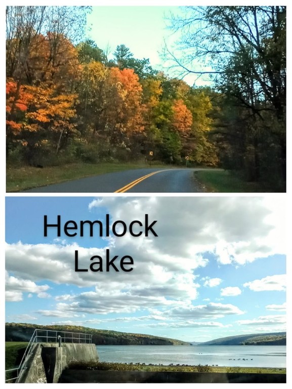 5045 Blank Road Livonia, NY 14466 - Photo 50 of 50