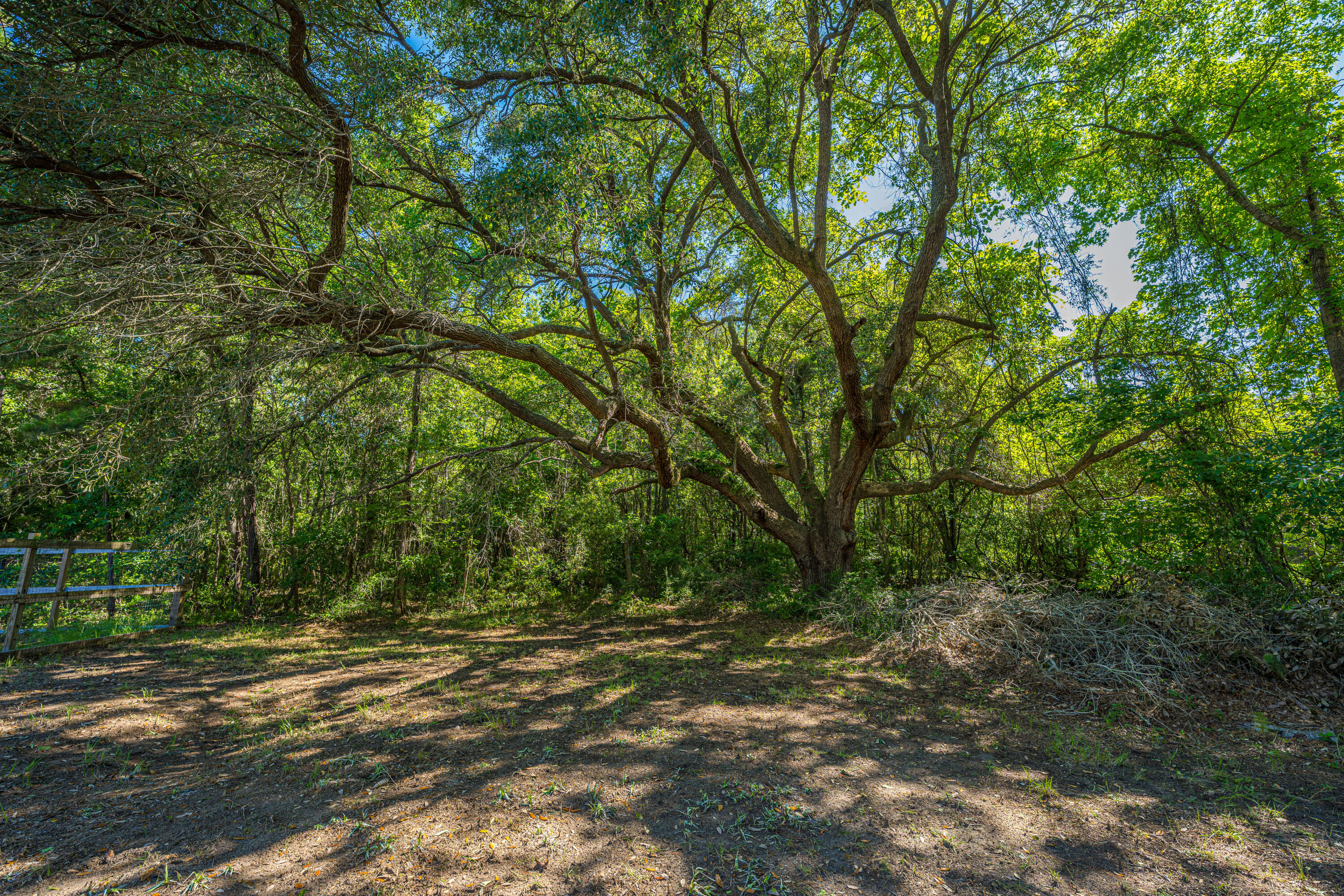 1536 A State Rd S-10-1519 Mount Pleasant, SC 29466 - Photo 8 of 13 1536A_BostonGrillRd013