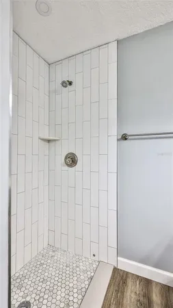 a view of a bathroom with a shower