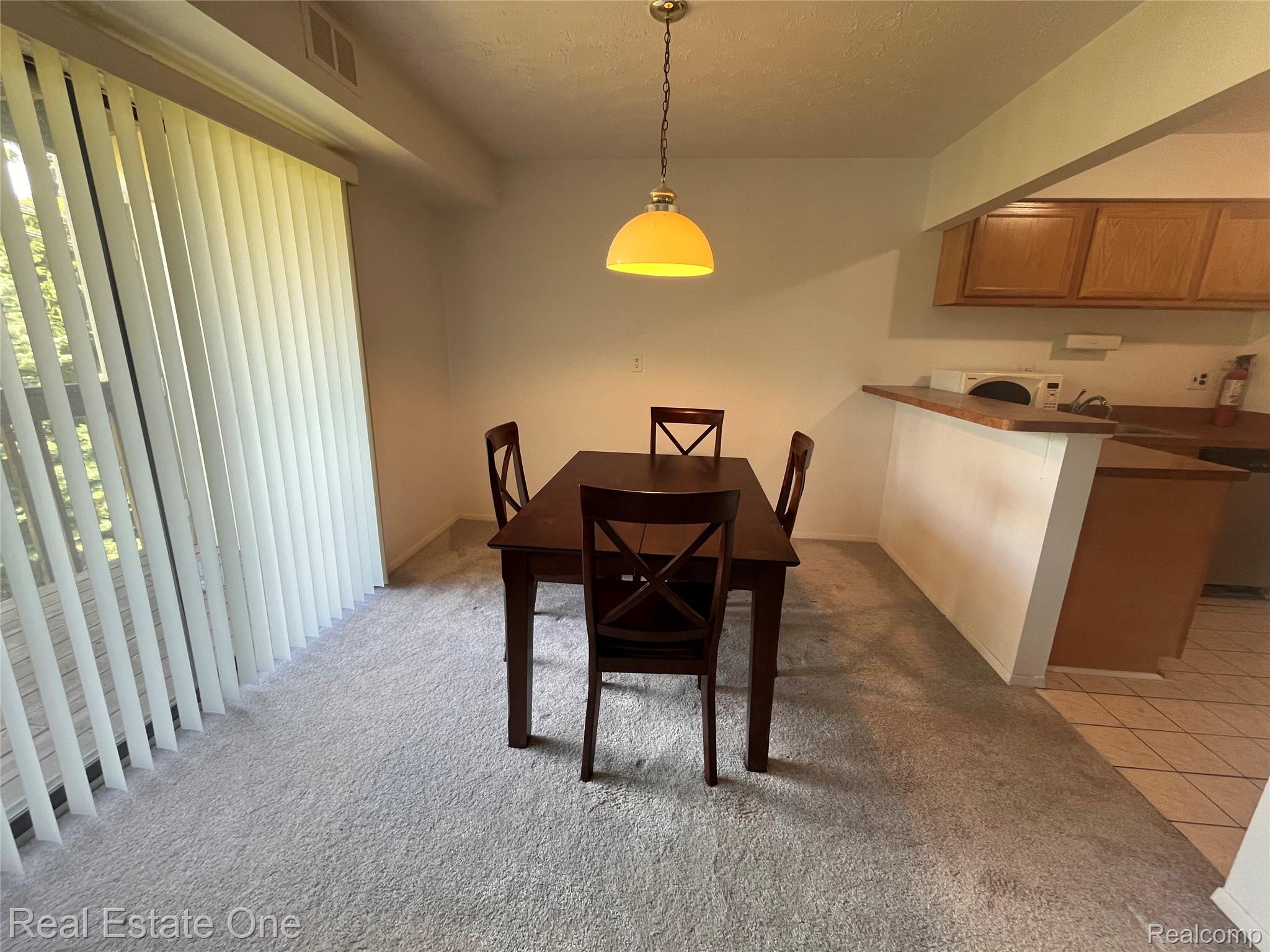1653 Riverside Drive Rochester, MI 48309 - Photo 8 of 14 Sliding glass door with vertical blinds, light-toned carpeting, and a kitchen pass-through with wood-finish cabinetry