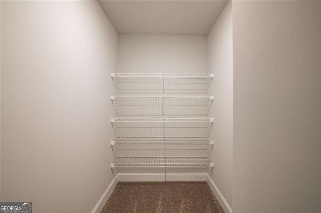 219 Carsons Walk Macon, GA 31206 - Photo 33 of 57 a view of walk in closet with empty racks