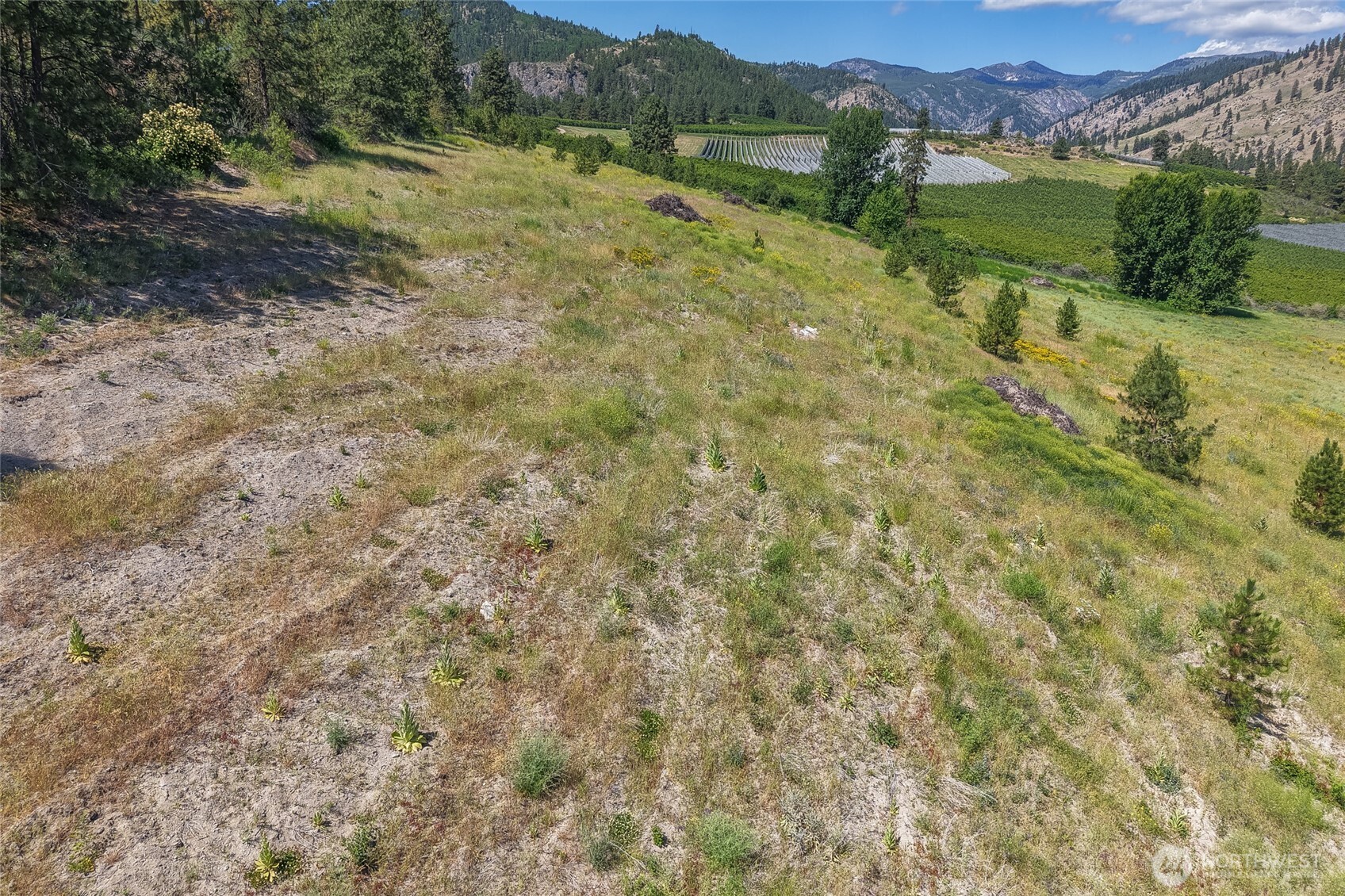7-xxx Navarre Coulee Road Chelan, WA 98816 - Photo 22 of 30 a view of a field with an trees