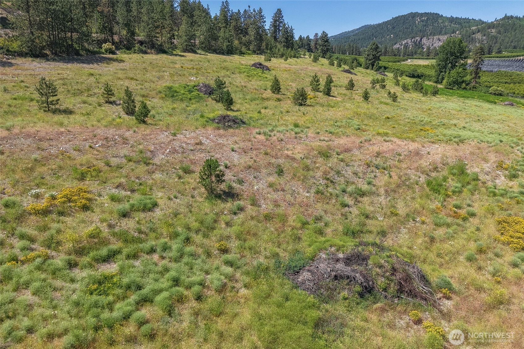 7-xxx Navarre Coulee Road Chelan, WA 98816 - Photo 29 of 30 a view of a green field with lots of trees