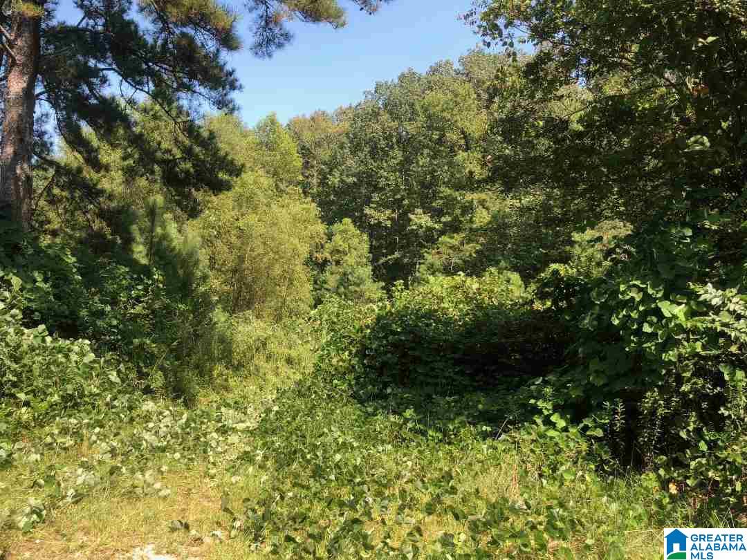 396 Mimosa Road, Unit 9 25 ACRES Leeds, AL 35094 - Photo 2 of 6