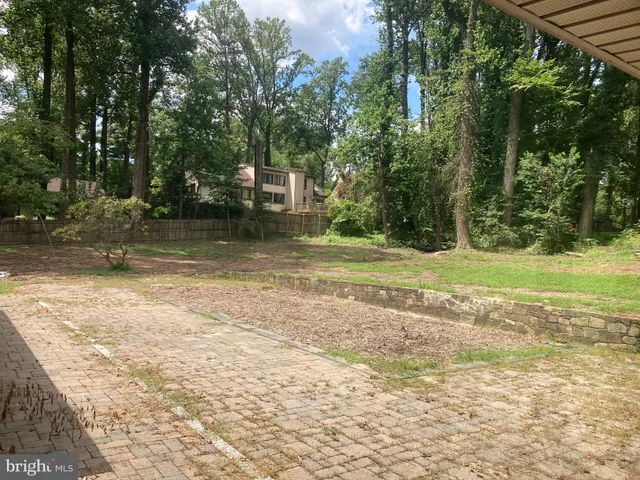a view of a yard with a trees