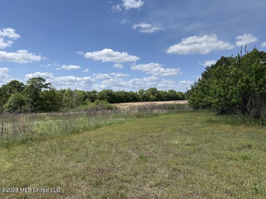 257 Magnolia Road Perkinston, MS 39573 - Photo 28 of 39 IMG_4597