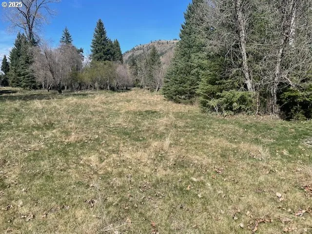 $399,000 | Fir Road, Lostine, OR 97857