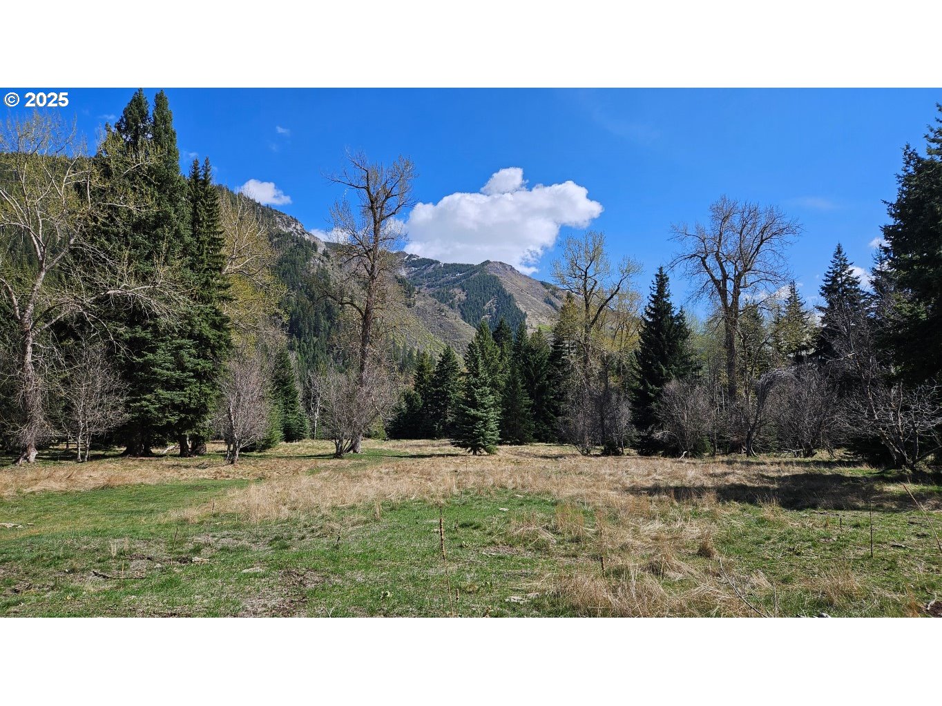 Fir Road Lostine, OR 97857 - Photo 3 of 7