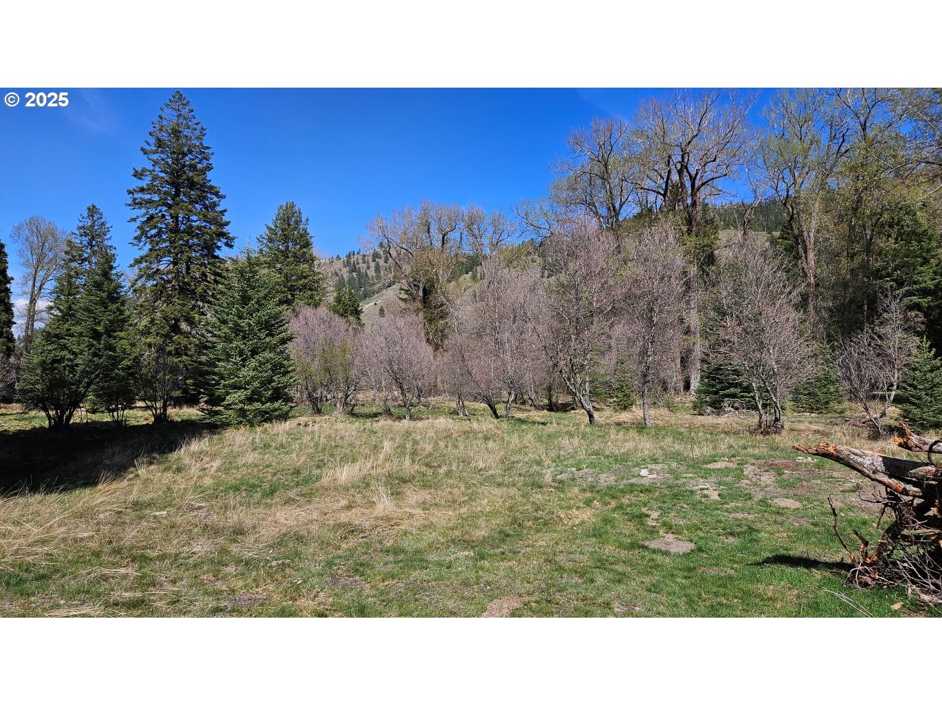 Fir Road Lostine, OR 97857 - Photo 7 of 7