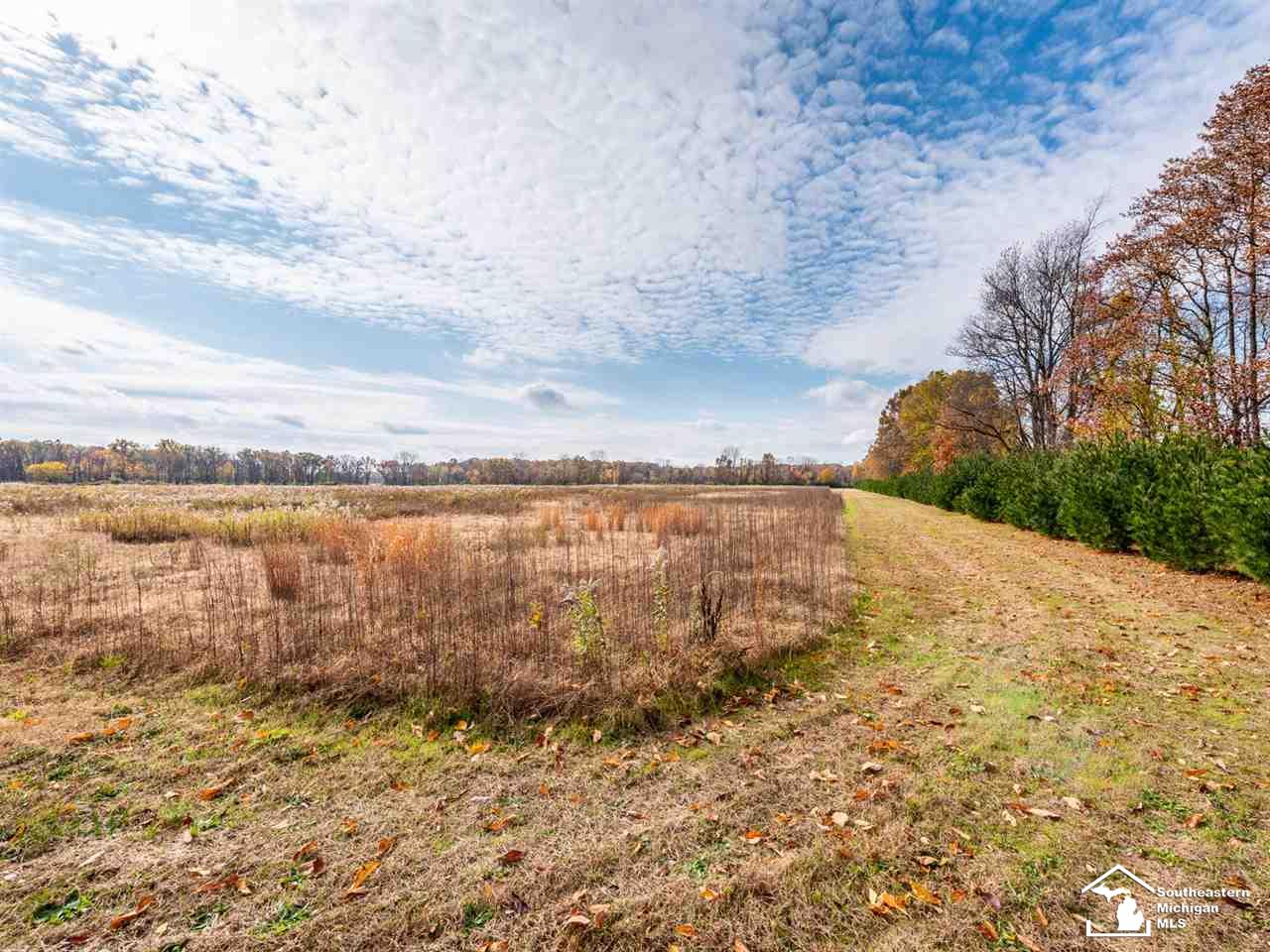 0 Meanwell Road Dundee, MI 48131 - Photo 17 of 19