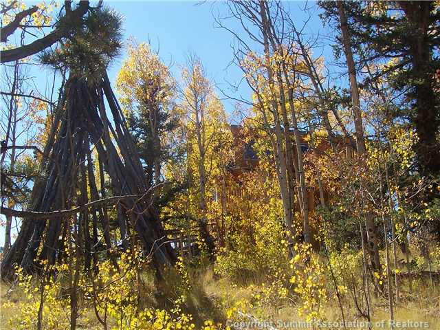 63 Osprey Road Como, CO 80432 - Photo 19 of 19 a backyard of a house