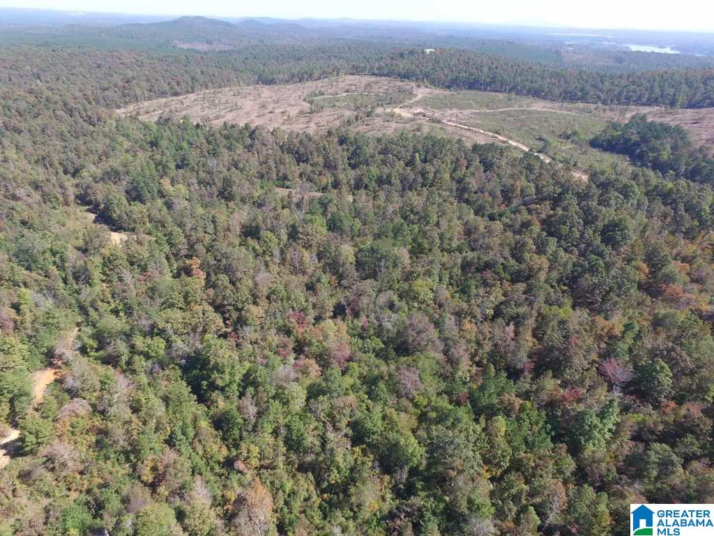Sprayberry Road, Unit 103 Cropwell, AL 35054 - Photo 10 of 48
