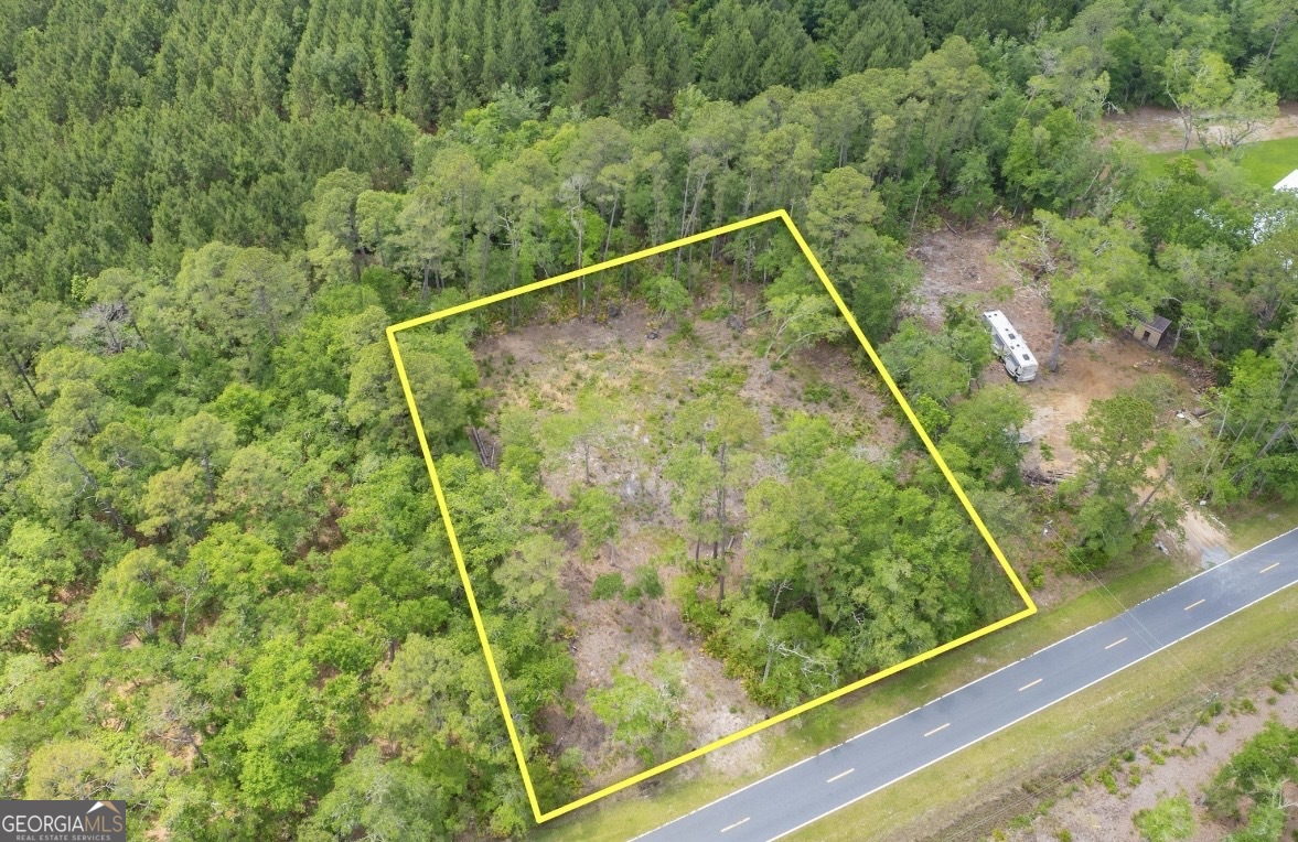 0 Piney Bluff Road Waverly, GA 31565 - Photo 3 of 26