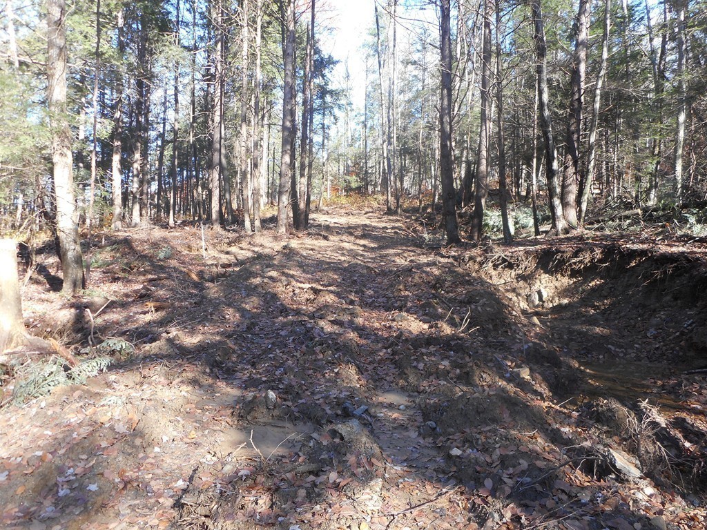 Lot B County Road Huntington, MA 01050 - Photo 11 of 15
