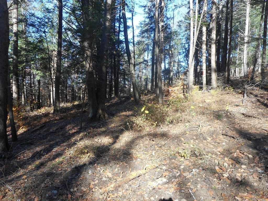 Lot B County Road Huntington, MA 01050 - Photo 12 of 15