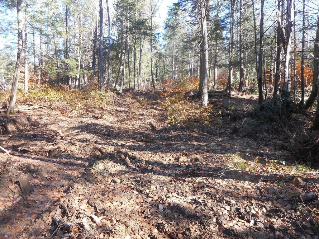 Lot B County Road Huntington, MA 01050 - Photo 13 of 15