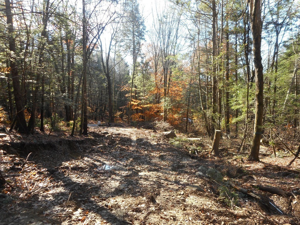Lot B County Road Huntington, MA 01050 - Photo 14 of 15