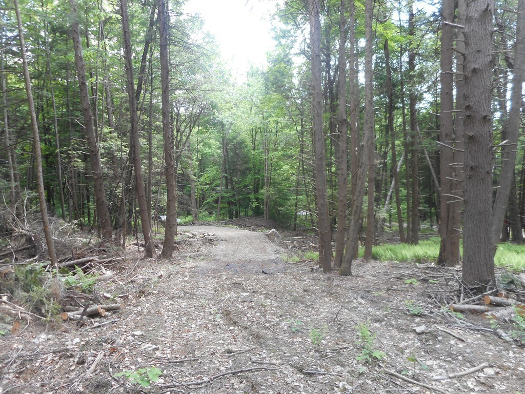 Lot B County Road Huntington, MA 01050 - Photo 15 of 15