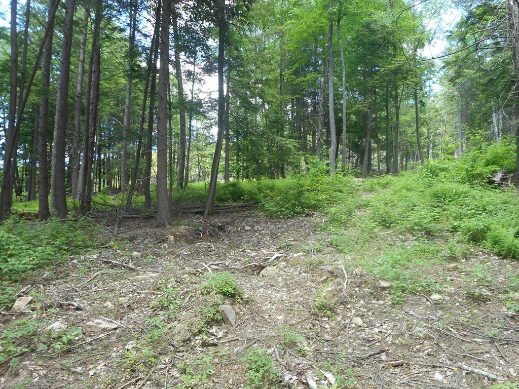 Lot B County Road Huntington, MA 01050 - Photo 2 of 15