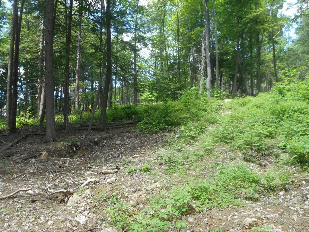 Lot B County Road Huntington, MA 01050 - Photo 3 of 15