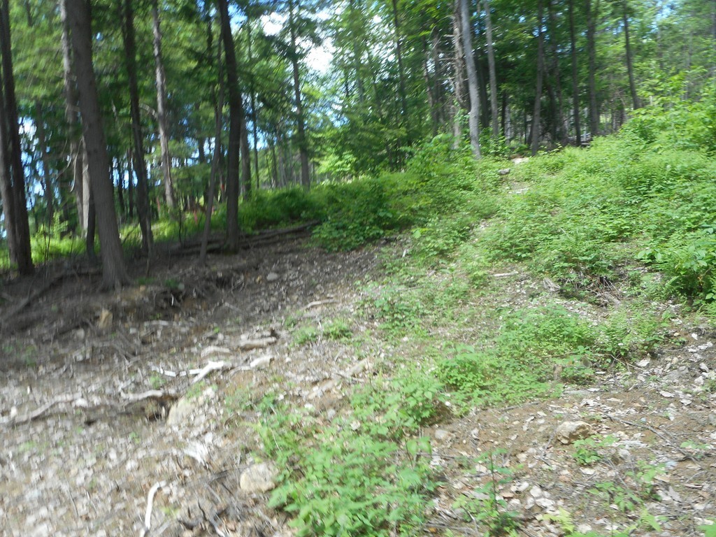 Lot B County Road Huntington, MA 01050 - Photo 4 of 15