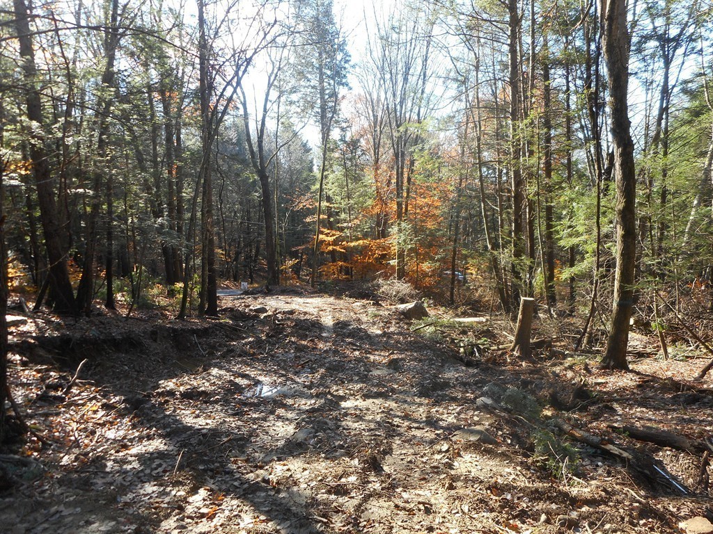 Lot B County Road Huntington, MA 01050 - Photo 6 of 15