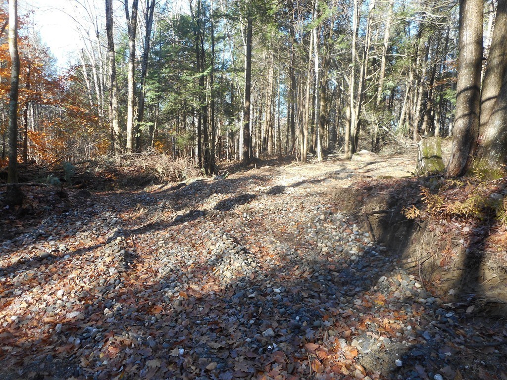 Lot B County Road Huntington, MA 01050 - Photo 8 of 15