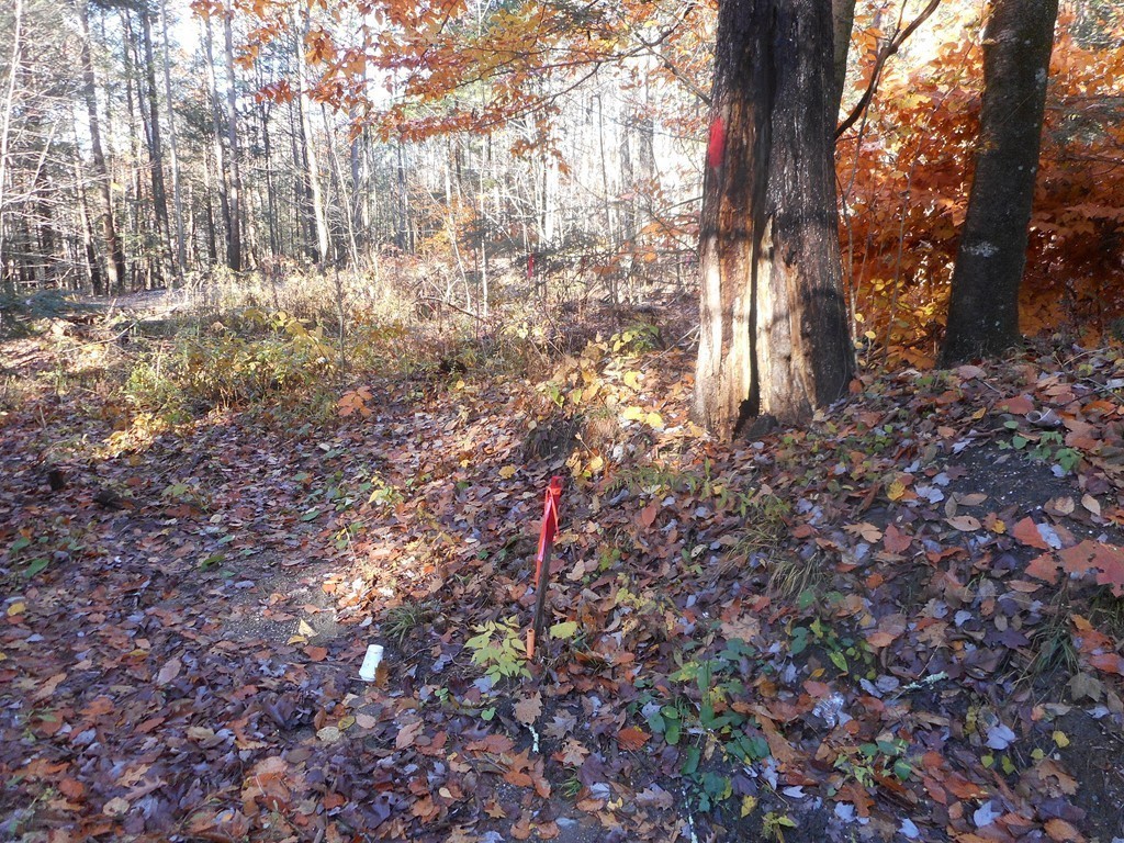 Lot B County Road Huntington, MA 01050 - Photo 9 of 15
