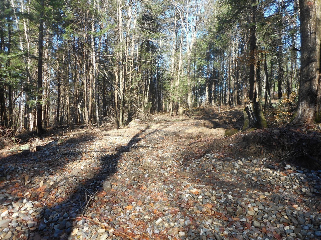 Lot B County Road Huntington, MA 01050 - Photo 10 of 15