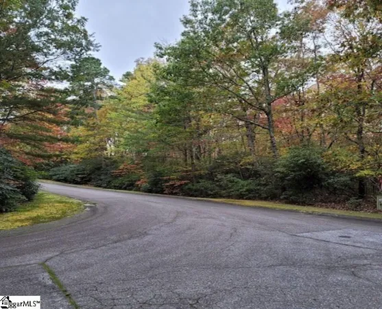 $62,000 | 3 Larkspur Lane, Cleveland, SC 29635