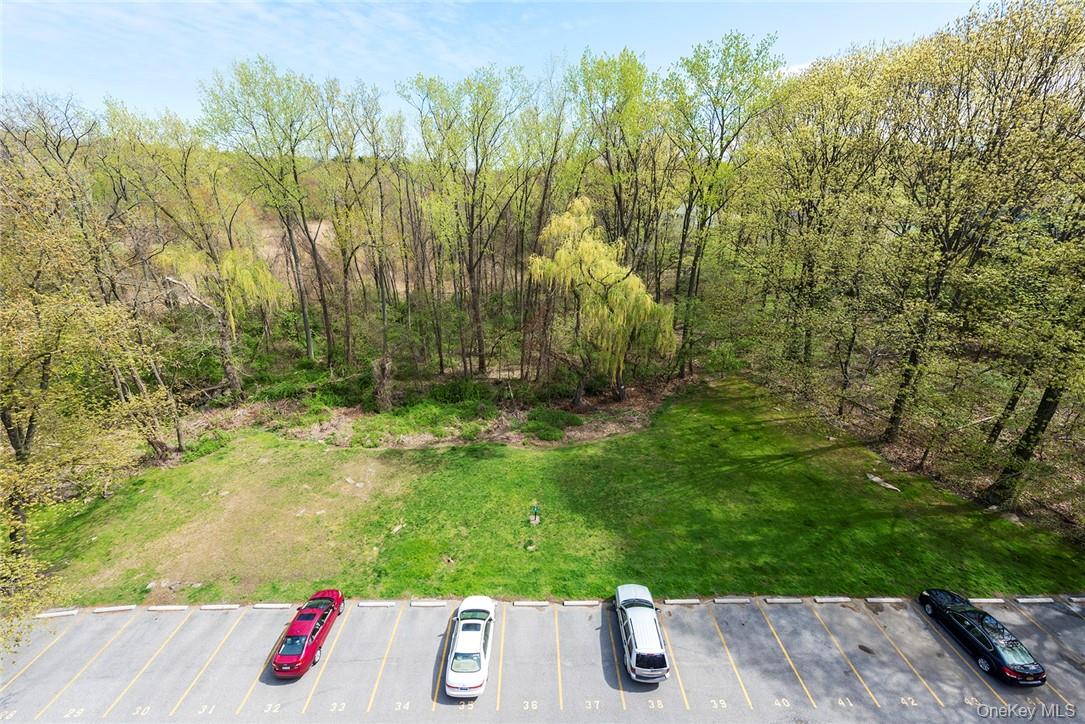 1133 Midland Avenue, Unit 1F Bronxville, NY 10708 - Photo 15 of 17